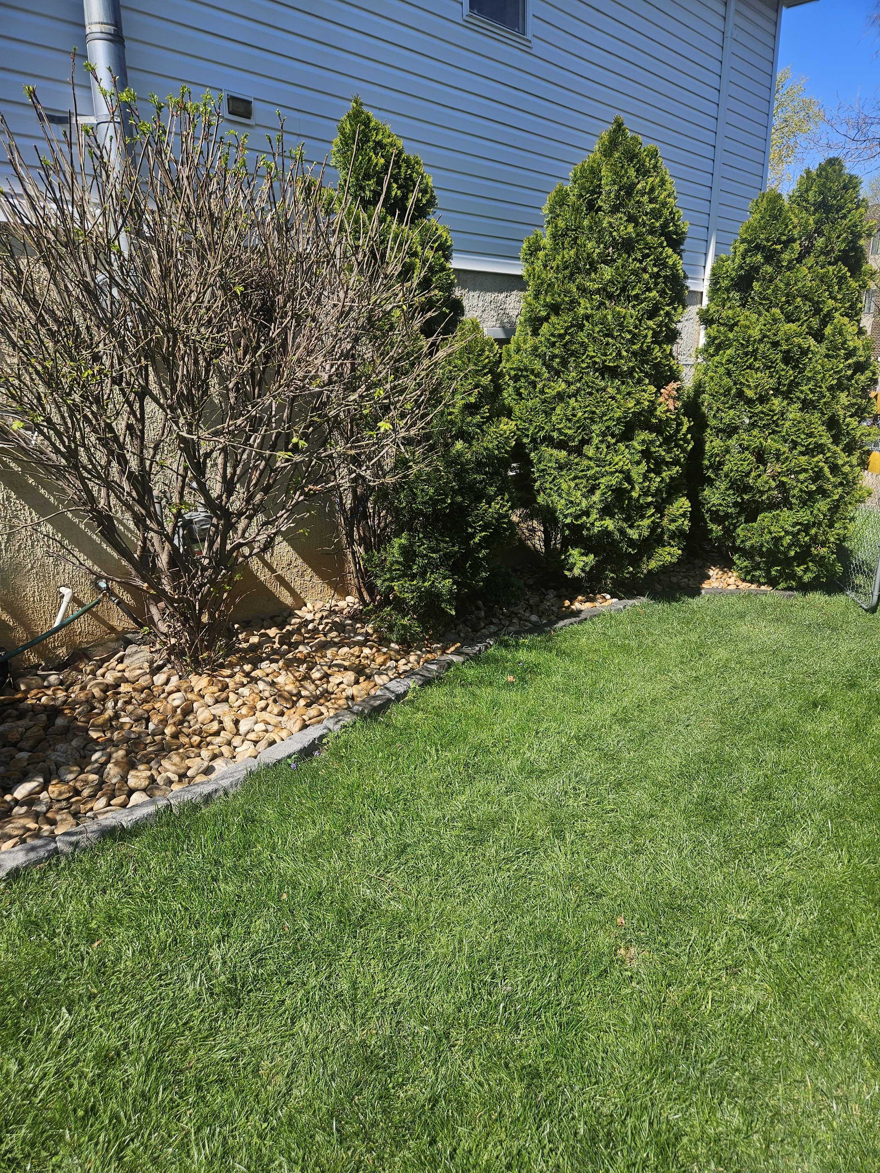 Finished side yard bed with block border, river rock fill, and arborvitae trees