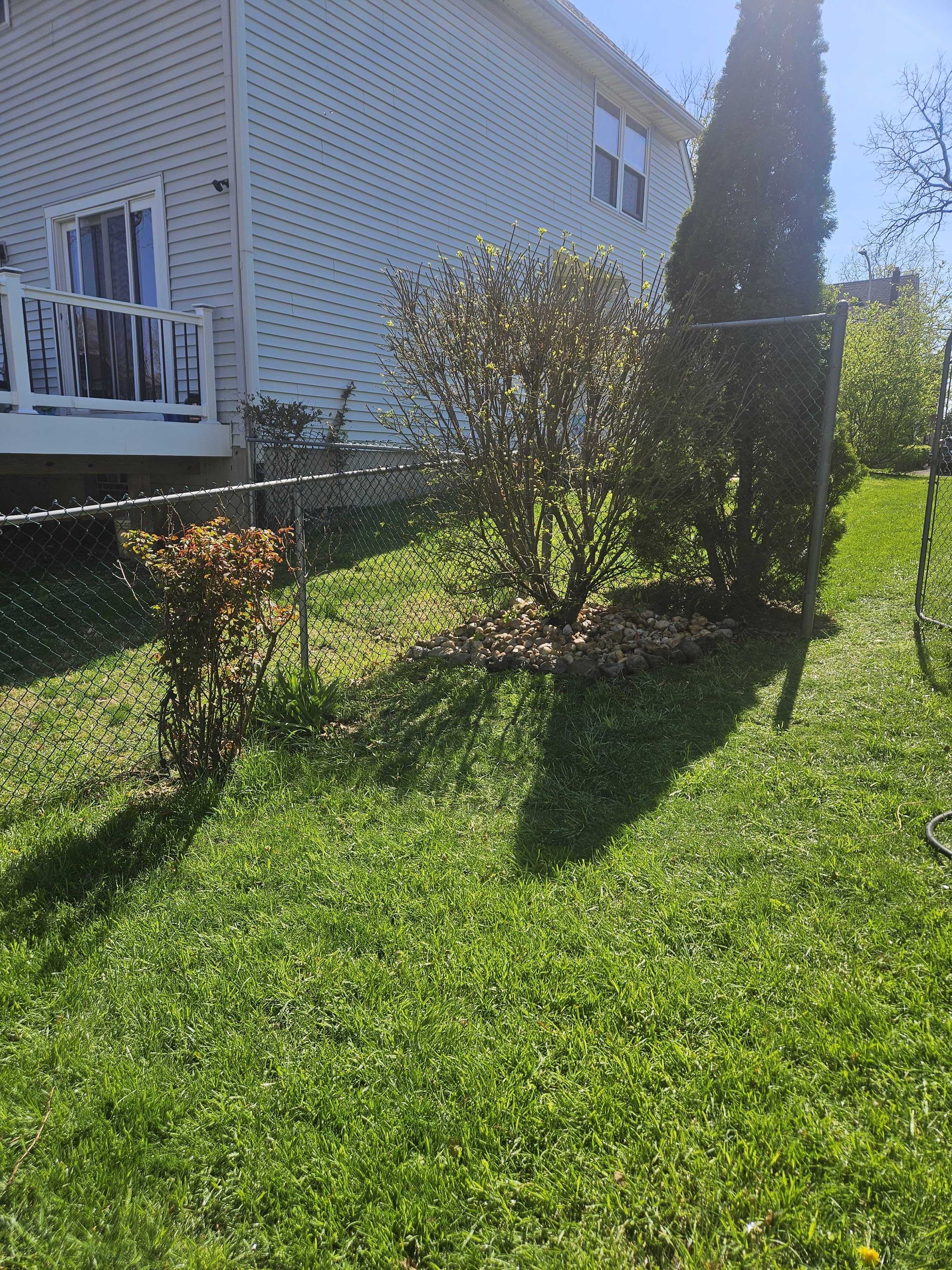 Circular ring of rocks around a bush in the lawn