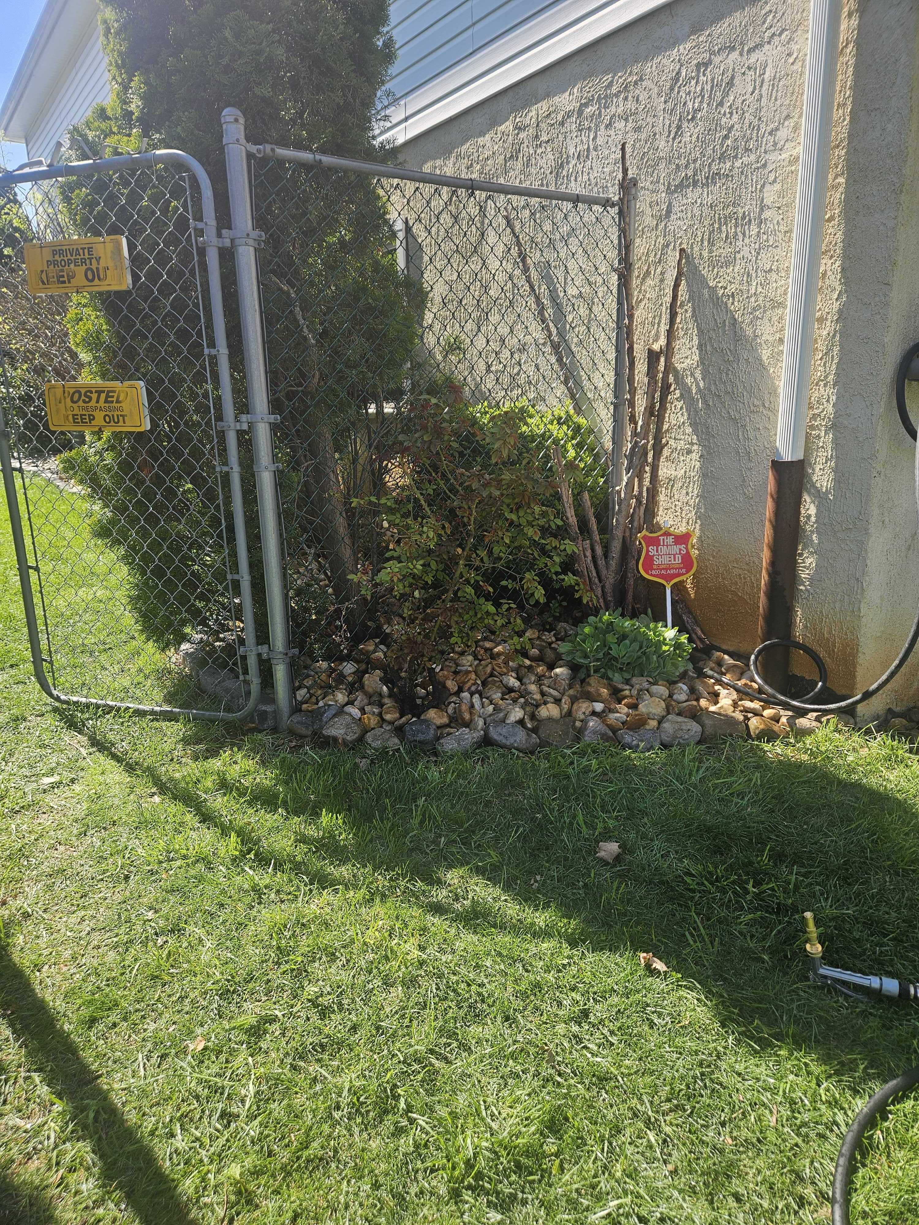 Corner bed near the backyard gate with rocks around the shrubs