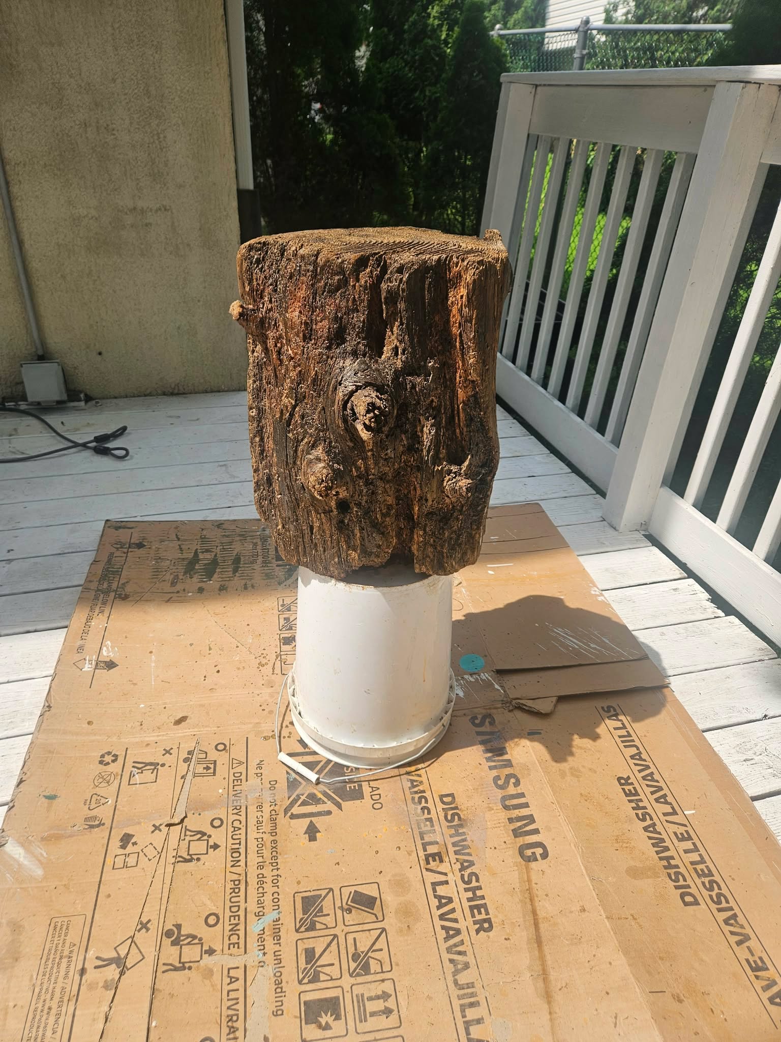 Raw weathered stump balanced on a white bucket on the deck